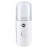 mini nano mist facial steamer